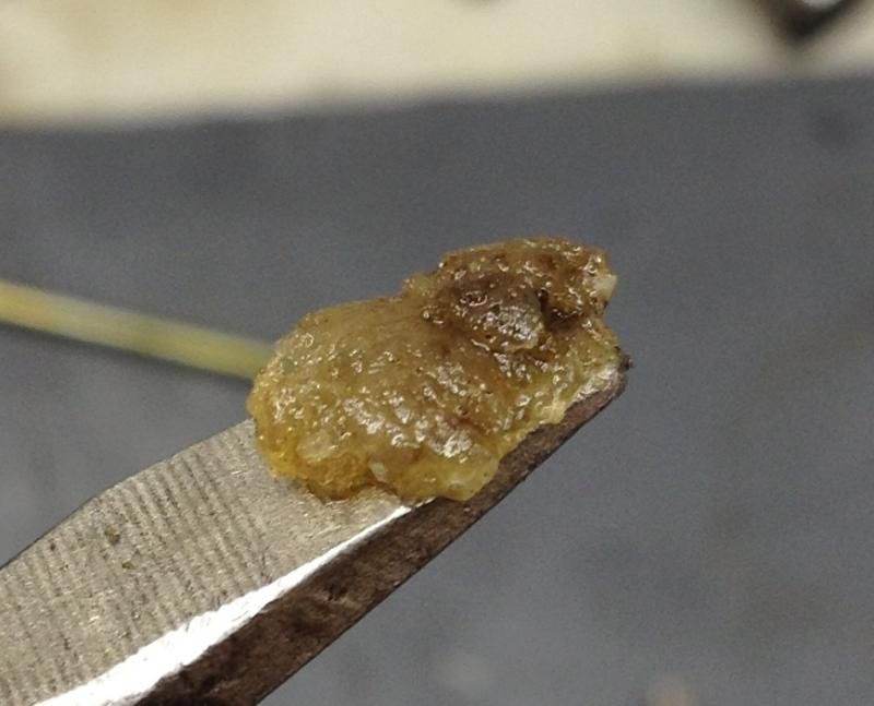 Any idea what this jelly type substance is that plugged my carb? Maintenance, Tech Info